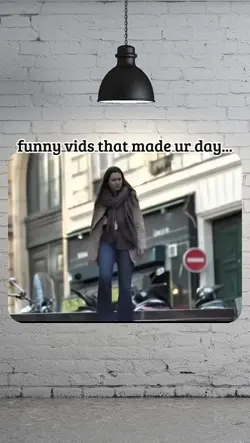 funny videos