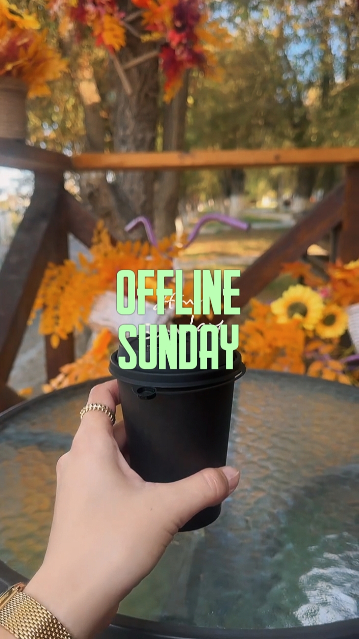 OFFLINE SUNDAY