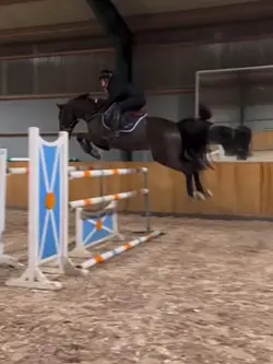 Sirenhead FAKE ⚠️‼️