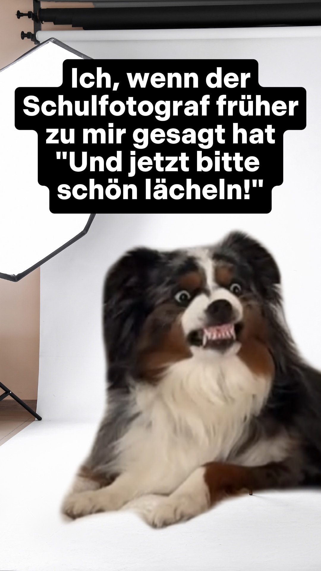 Zähne zeigen Meme 😬