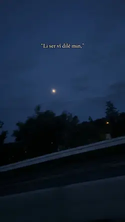 Li ser vî dilê min🤍🌹