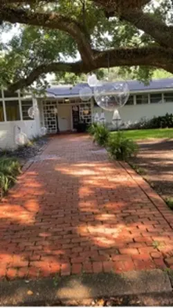 50th Birthday Celebr