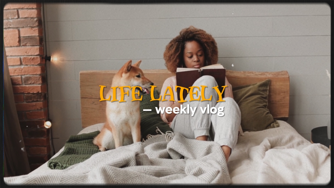 Daily Vlog Intro