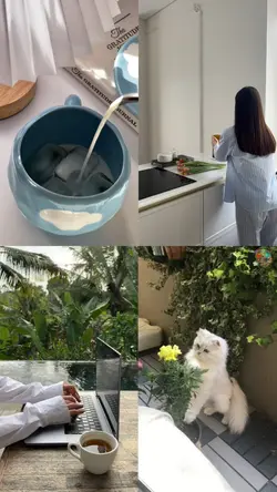 4 grid videos
