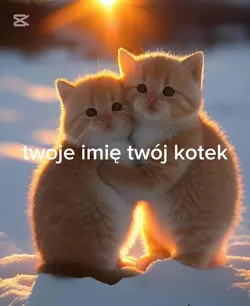 twoje imię twój kot