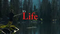 It's Life Cinematic 