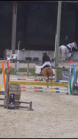 Showjumping ☀️
