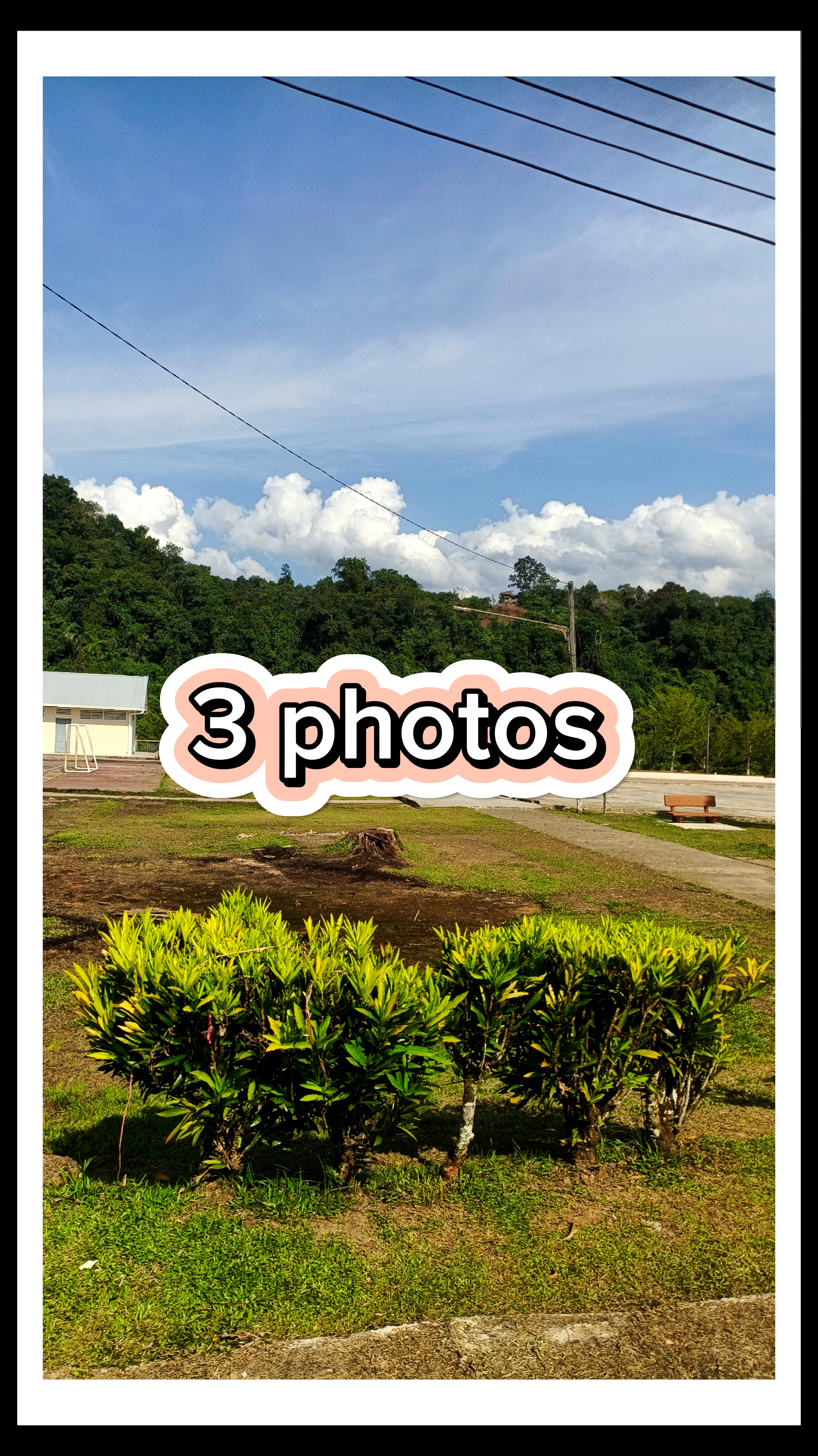 3 photos 