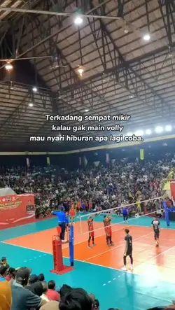 hobi volly