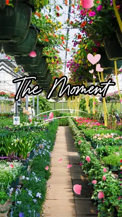 The moment