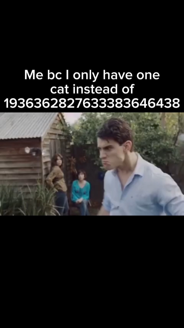 I WANT ALL THE KITTY