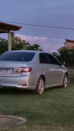 Edite de carro