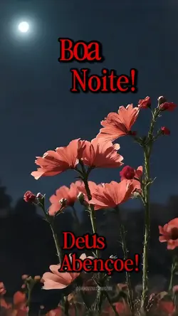 Boa Noite