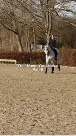 Your Name Your Horse