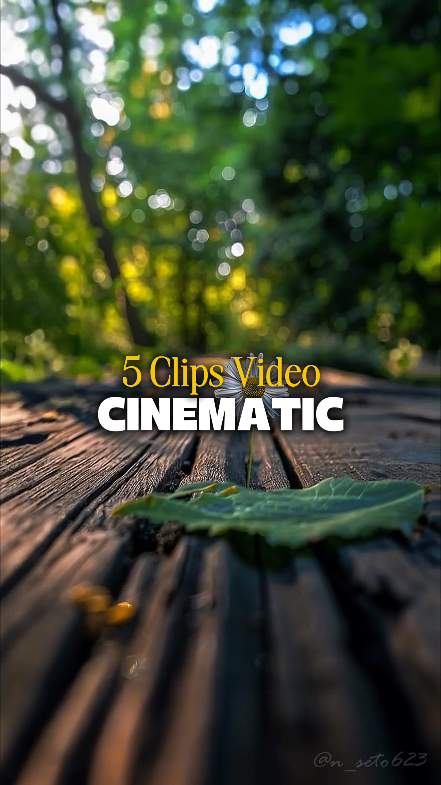 5 Videos Cinematic 