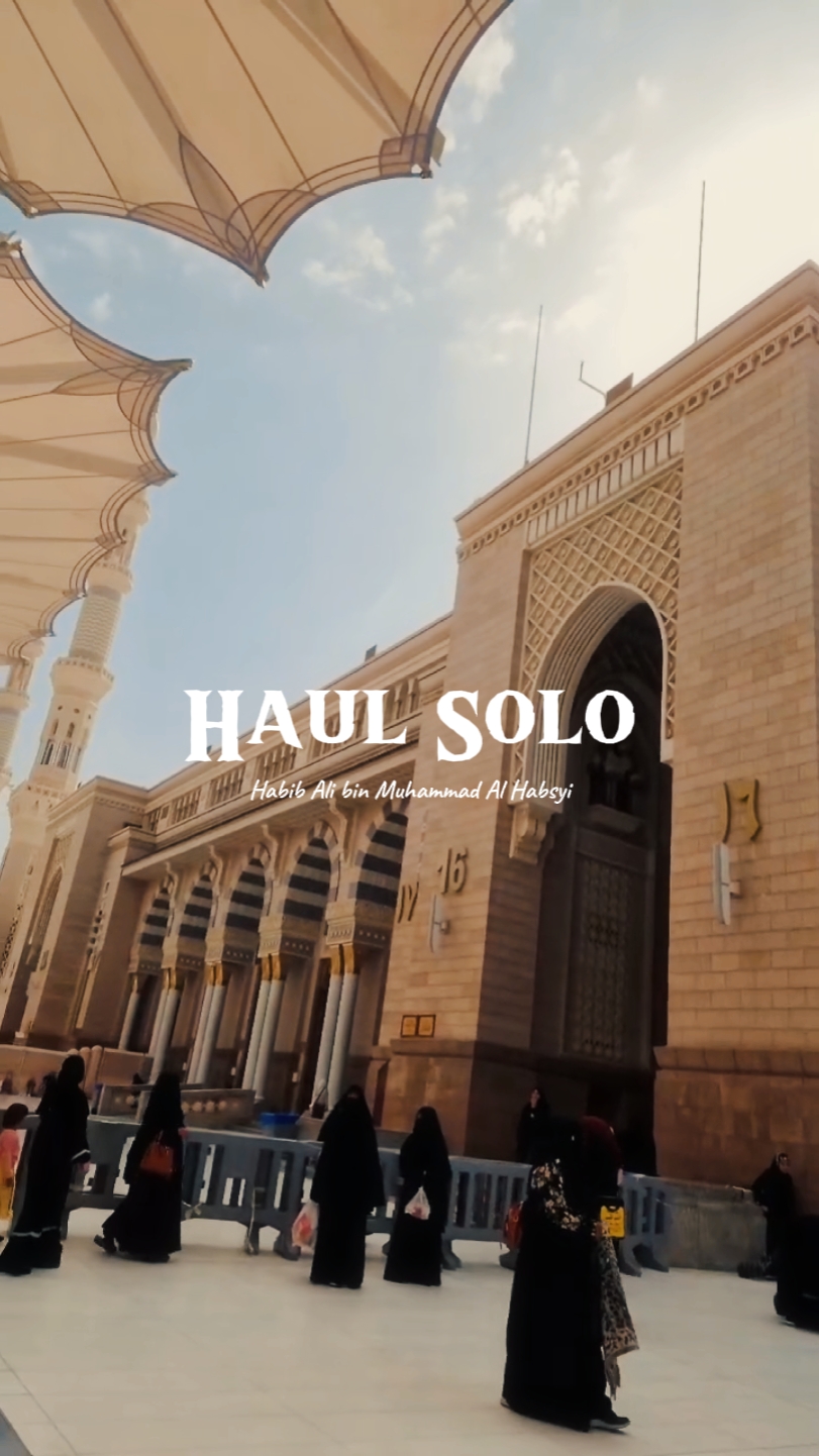 HAUL SOLO