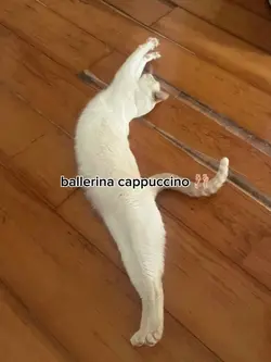 Balerinna cappucinna