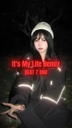It's My Life Remix