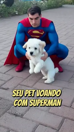 Pet com Superman