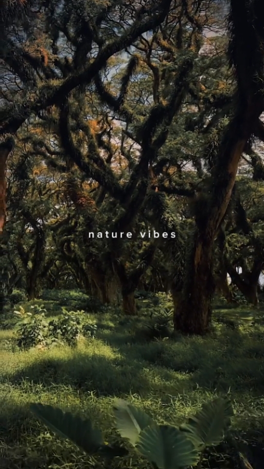 nature
