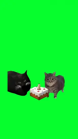 OIIA CAT BIRTHDAY