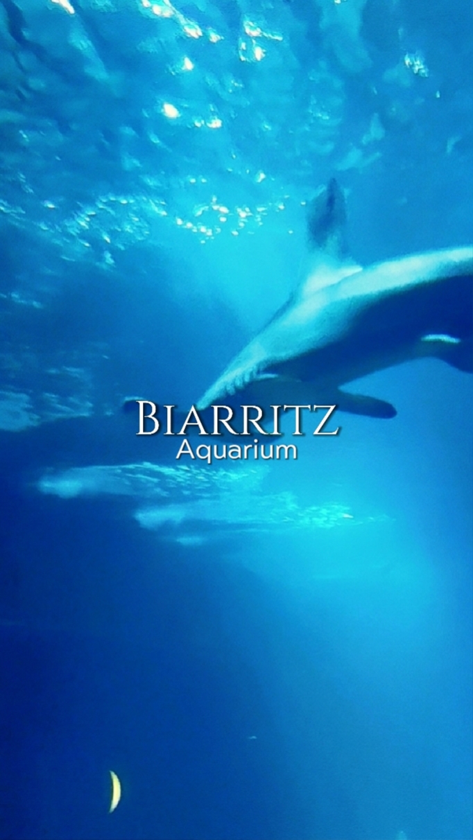 créatures aquatiques 