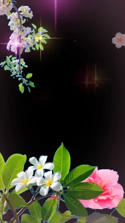 សួរស្តីឆ្នាំថ្មី