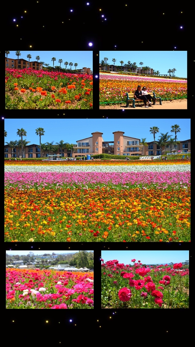 6 fotos de paisajes
