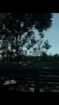 一張｜暗角