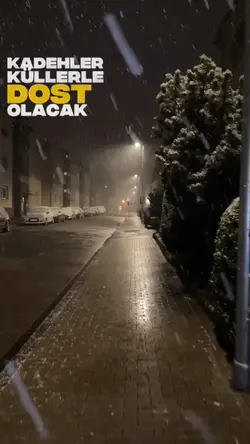 Yeni şablon