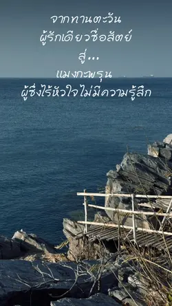 แมงกะพรุน