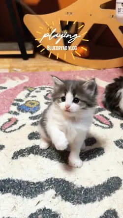 playing.