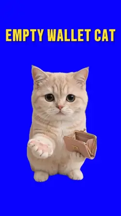 EMPTY WALLET CAT 