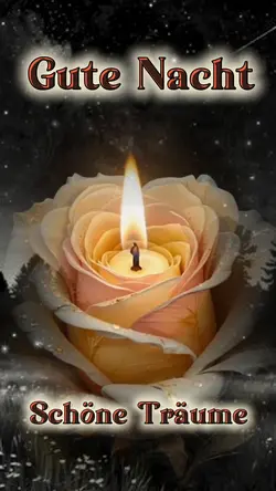 Gute Nacht 
