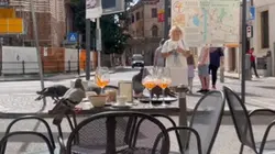 ㅅㅂㄹ