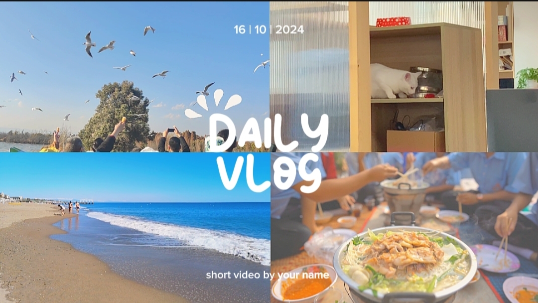 Vlog diario