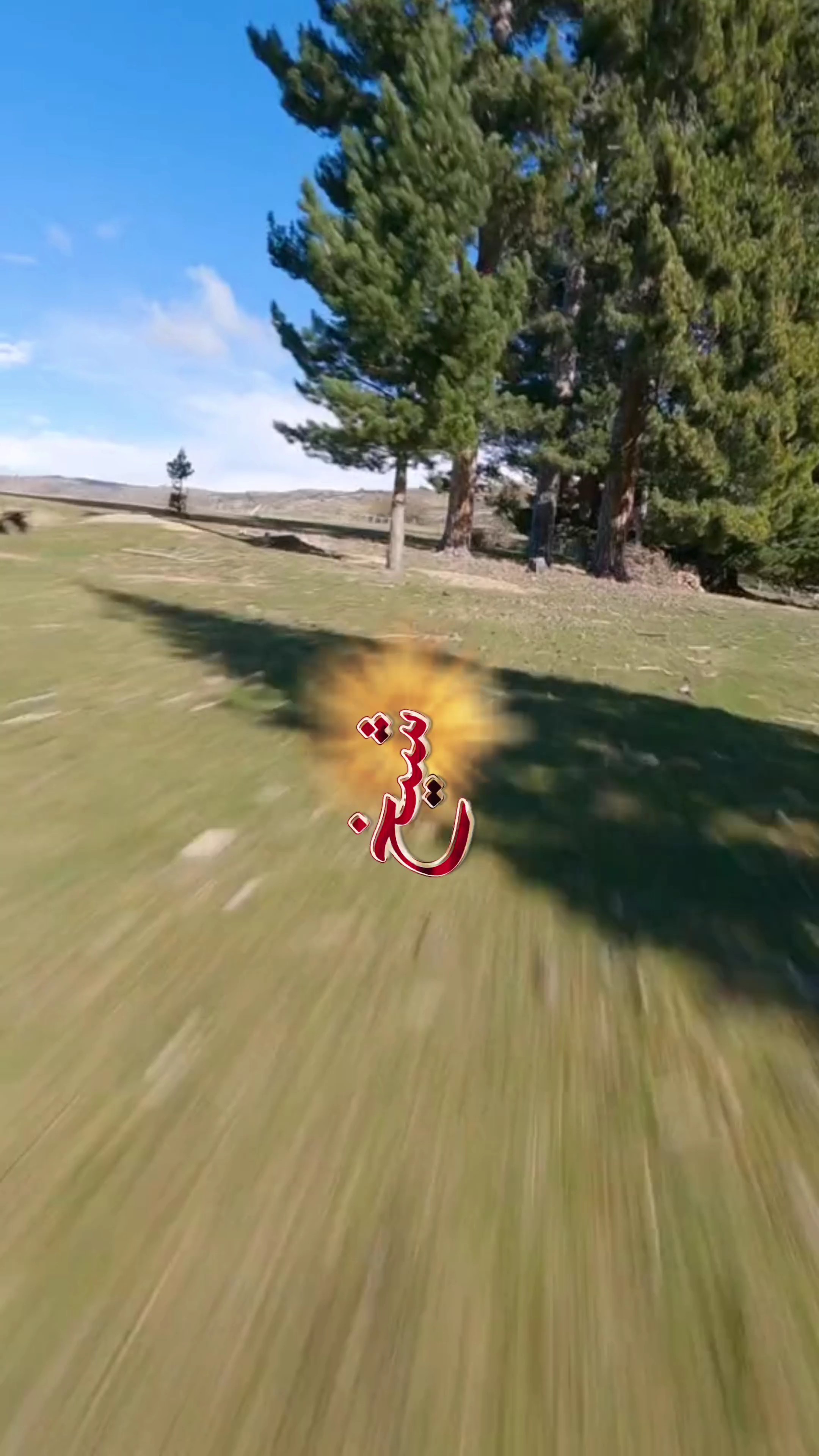 شيخ إني وابن شيوخ 