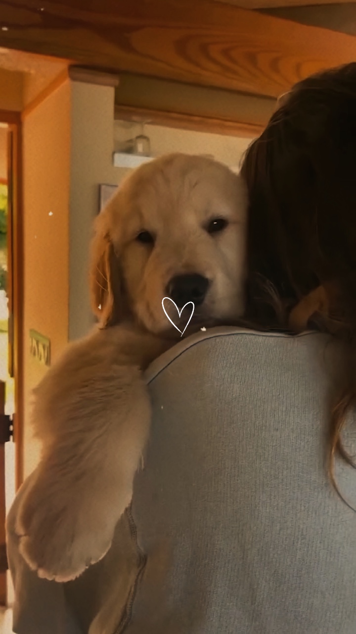 pet love