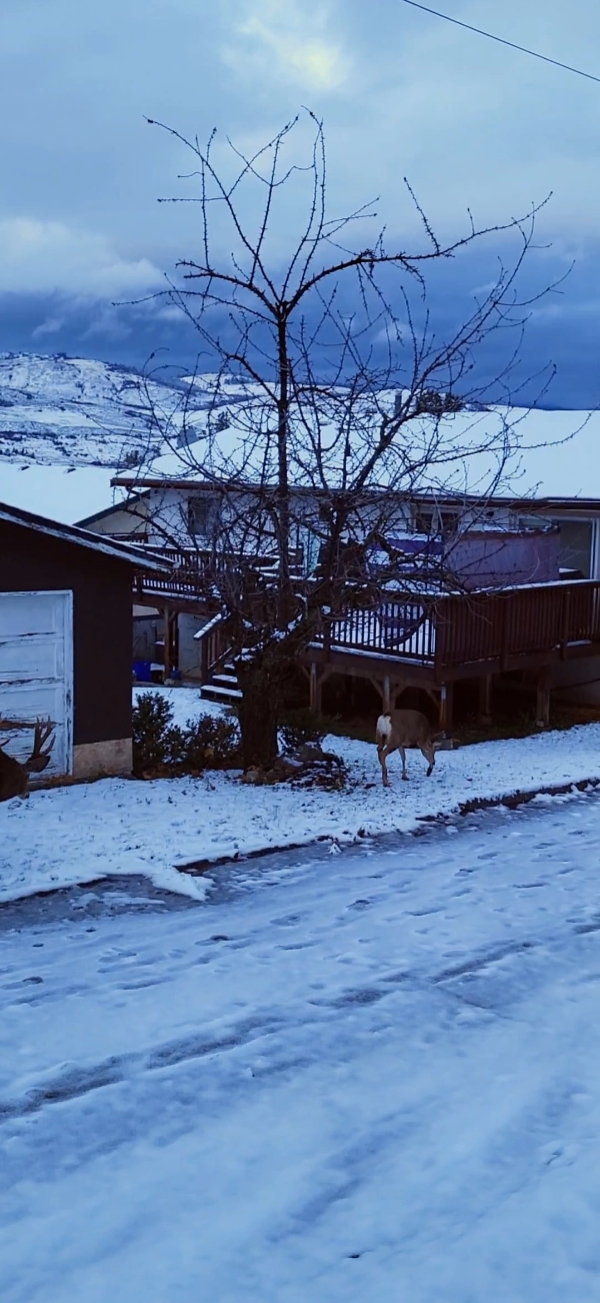 让它下雪 
