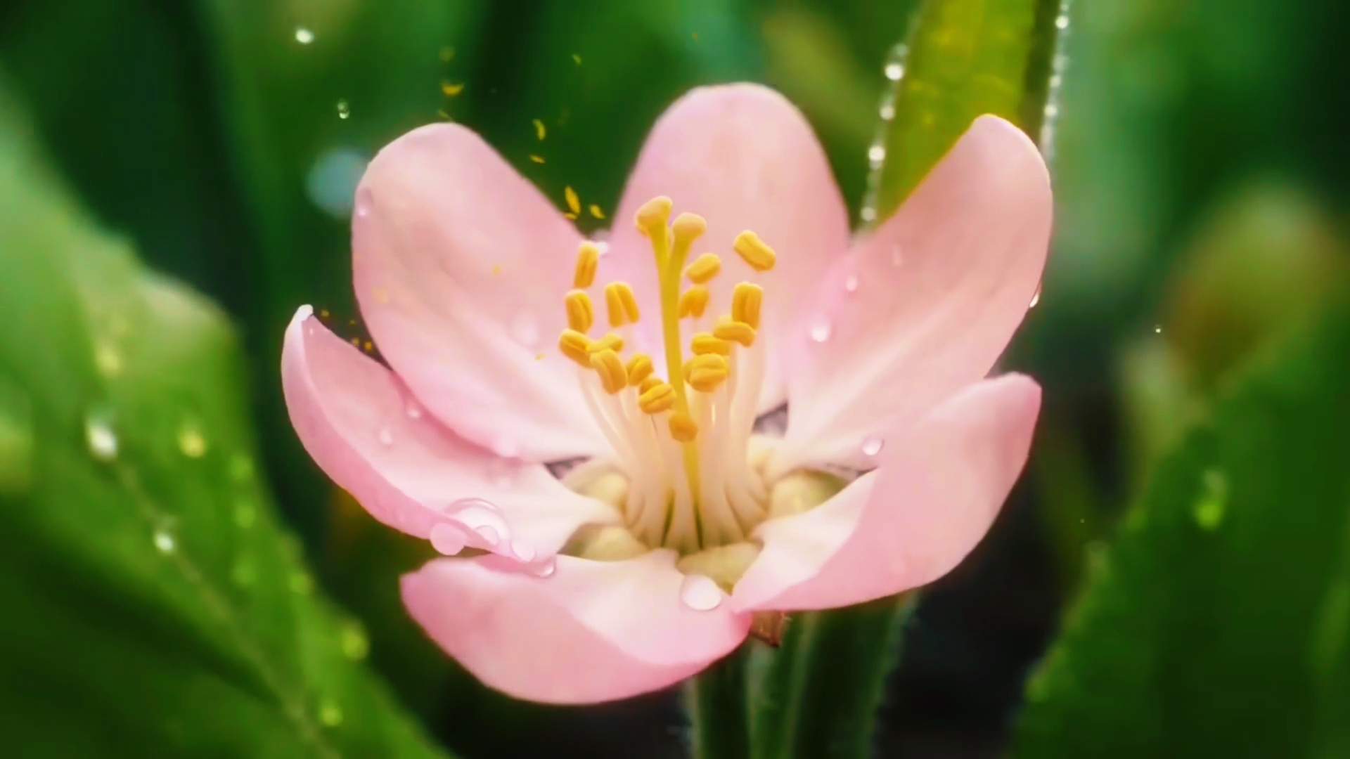 blooming flower