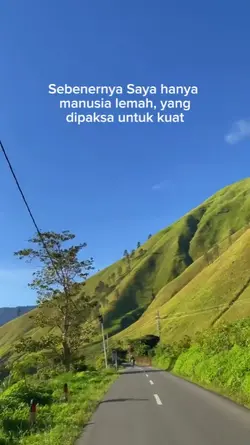 VIDIO + TEKS BISA