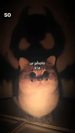 template 2 foto kece