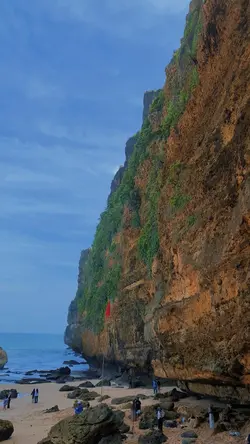 1video