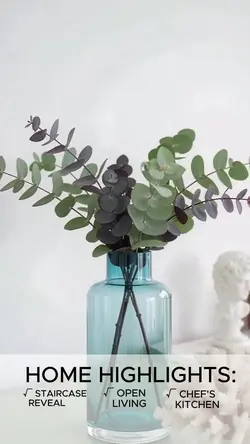 Bright Modern Home Walkthrough