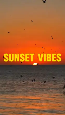 Sunset Vibes