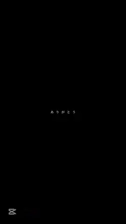 16枚