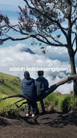 jatuh cinta padamu