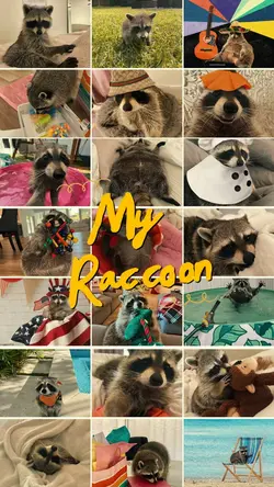 I love my Raccoon