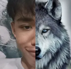 trend pp srigala auu