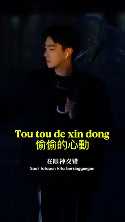 Tou tou de xin dong